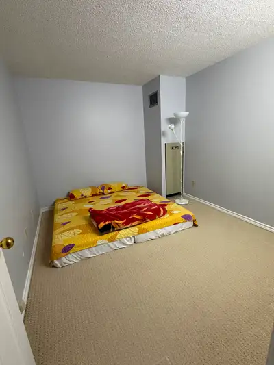 Private room for rent for female in apartment with own washroom. No sharing with anyone. Another gir...