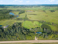 Peaceful 5 Acres Out of Subdivision Parkland County