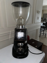 Fiorenzato coffee grinder