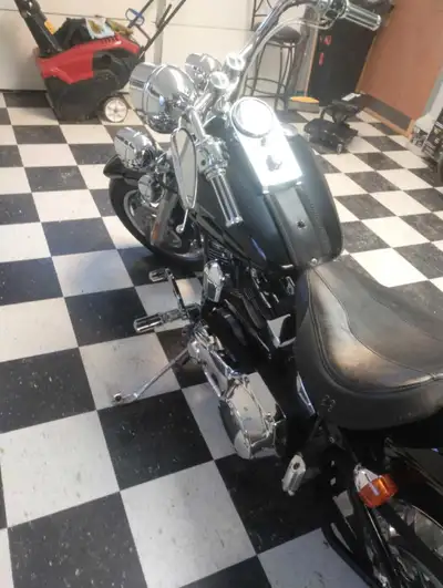 Arlene Ness wheels, wide tire kit with 250 rear tire. exhaust