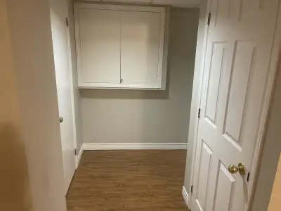 2 bedroom walkout basement for rent from January 1st ( No pets) 4372673930
