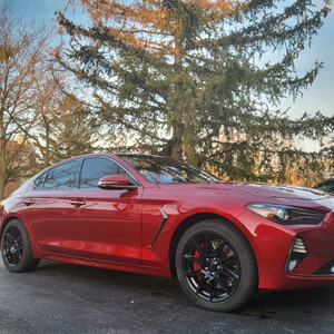 2019 Hyundai Genesis 3.3 sport