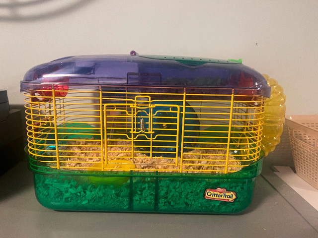 Hamster with cage in Accessories in Guelph - Image 2