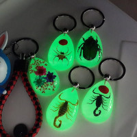 Natural Glow-in-The-Dark Real Insect Keychains
