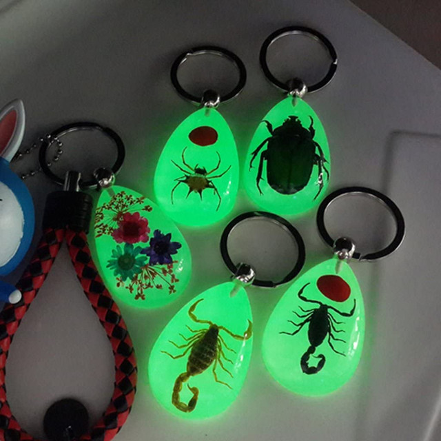 Natural Glow-in-The-Dark Real Insect Keychains in Other in Burnaby/New Westminster