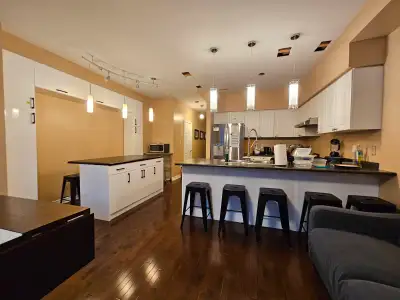 Private Rooms Walking Distance to York University/Seneca College