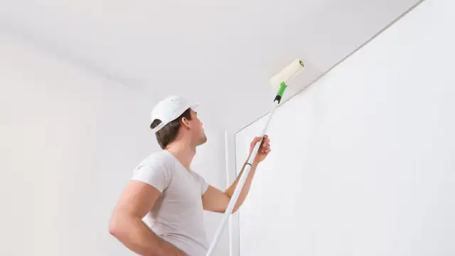 Painter/Handyman/Patio sanding and cleaning/Renovations63234627493505121