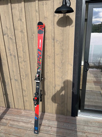 Ski slalom géant 
