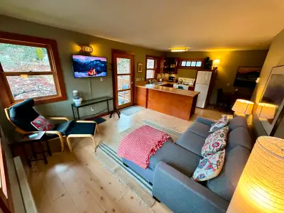 Furnished 1 Bedroom Apartment