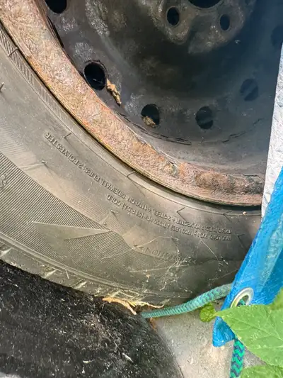 4 tires for free