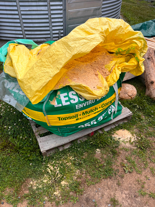 Wood sawdust (mixture of wood types- ash, spruce, white cedar) in Other in Cornwall