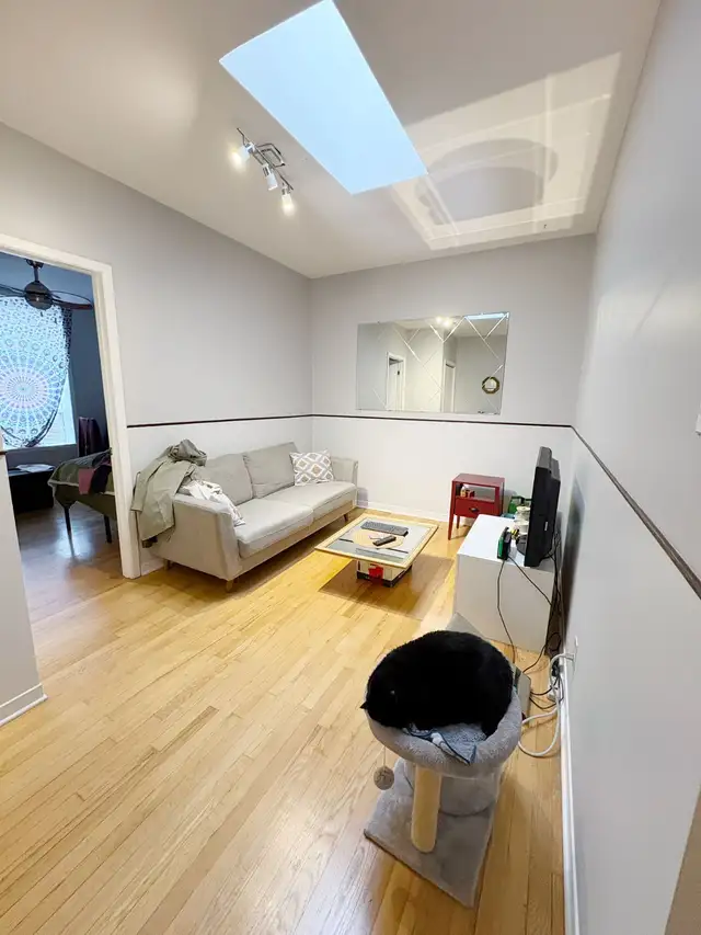 Recherche Coloc in Room Rentals & Roommates in City of Montréal - Image 8