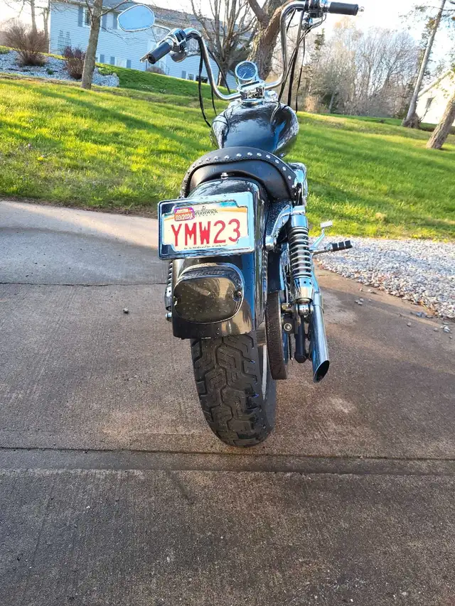 2006 Harley-Davidson sportster  low km in Street, Cruisers & Choppers in Saint John - Image 3