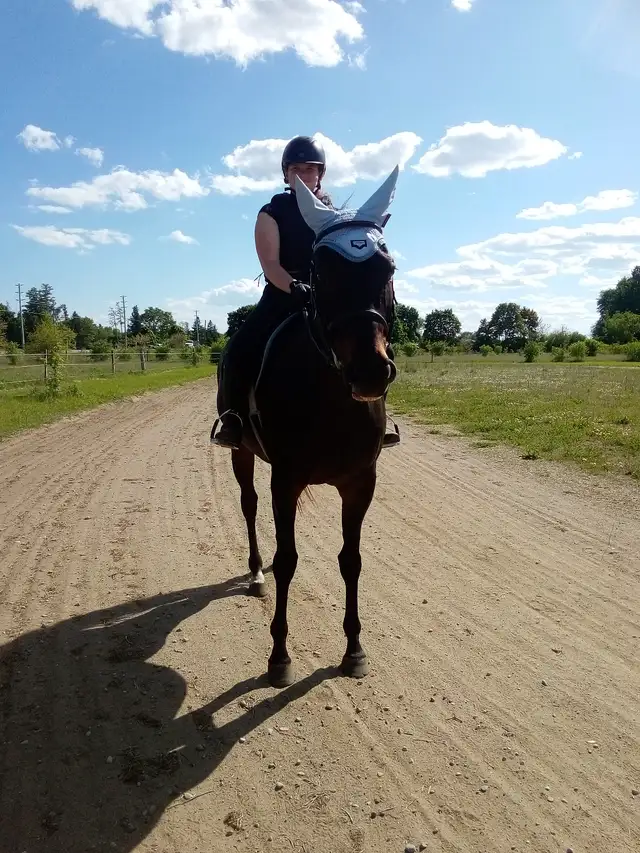 Riding Lessons483176617660928000