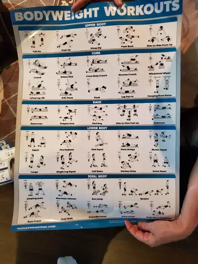 Workout posters for sale for $10 each per poster. There are dumbell, kettlebell, barbell, bodyweight...