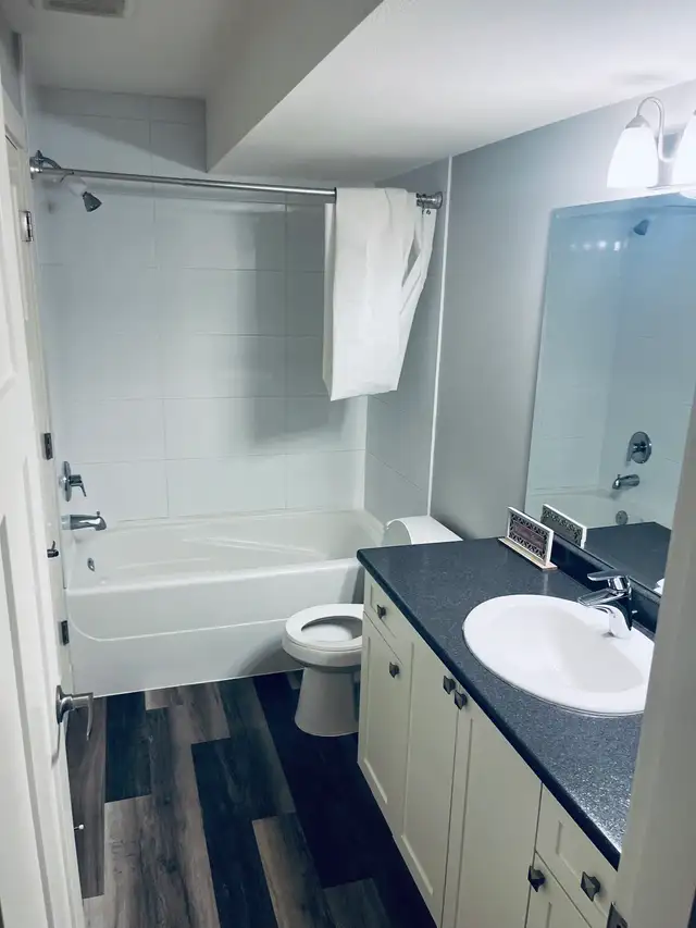 CLEAN, BRIGHT AND MODERN - NEWLY UPDATED 2 BED/1 BATH in Long Term Rentals in Delta/Surrey/Langley - Image 3