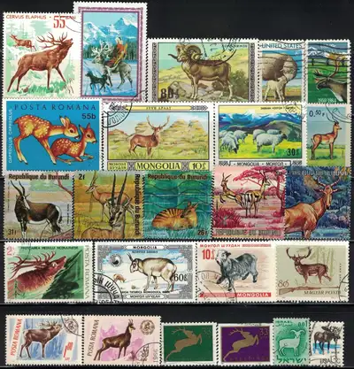 Deer, Goat, Ram, Antelope, 50 Different, View more