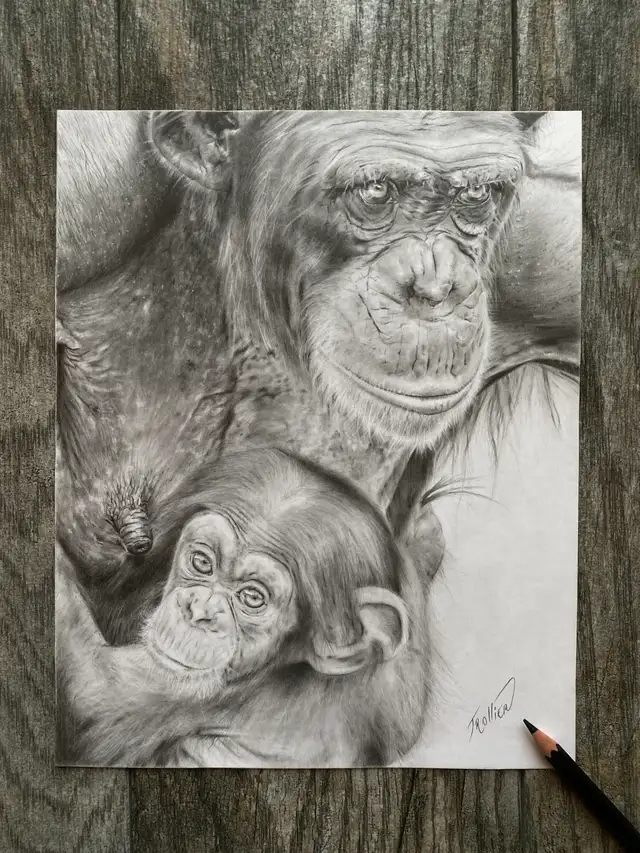 Cours de dessin réaliste au graphite (Privé) in Classes & Lessons in West Island - Image 7