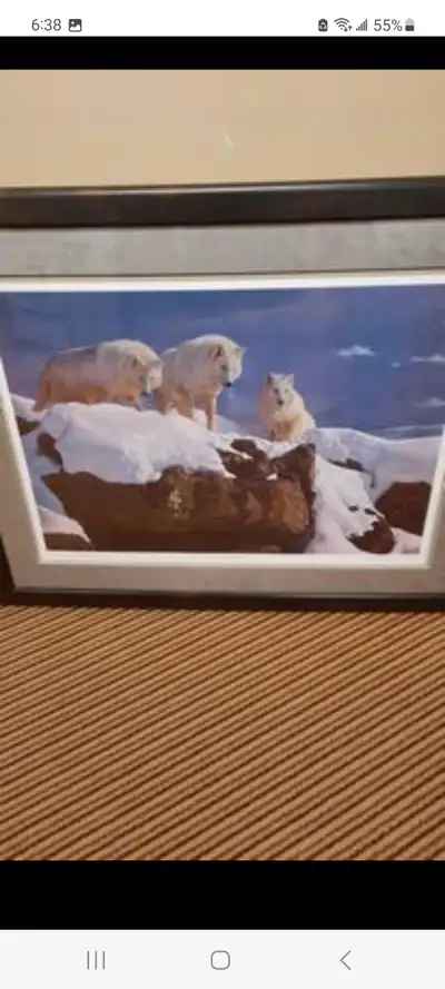 Arctic Alliance framed print by Daniel Smith, View more