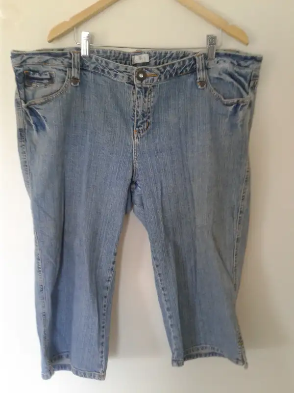 Ladies Shorts 2 (20W) & Plus 18W in Women's - Bottoms in Annapolis Valley - Image 4