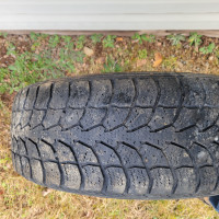 205/60/16 Winter Tire