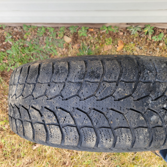 205/60/16 Winter Tire in Tires & Rims in Truro