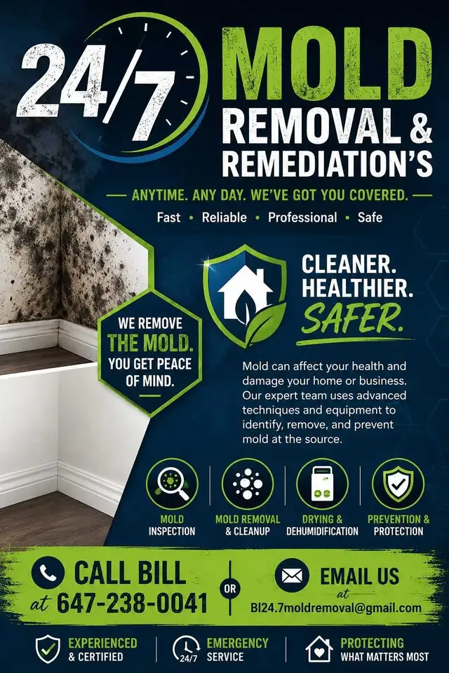 Mold Removal and Remediation Services