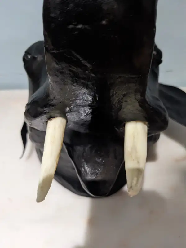 Large elephant wall mount head leather display in Arts & Collectibles in City of Toronto - Image 6
