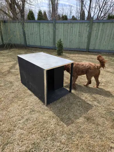 Dog House in great condition , View more
