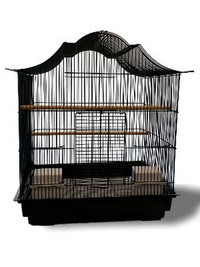 CAGES DISPONIBLES PRIX COMPÉTITIFS - AVIZOO DEPOT