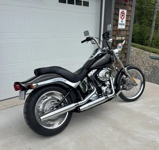 2009 Harley Davidson softail custom in Other in Bedford - Image 4