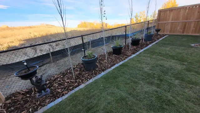 Landscape Construction Projects - SOD, FENCES, RETAINING WALLS63234498634115121