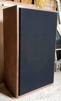 Subwoofer and Tannoy style cabinet