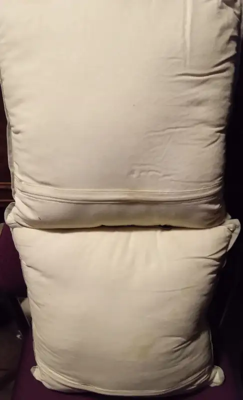 PAIR OF DECORATIVE CUSHIONS (15" square)63007359147649122