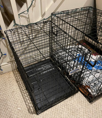 Petmate Wire Dog Crate 24” Black