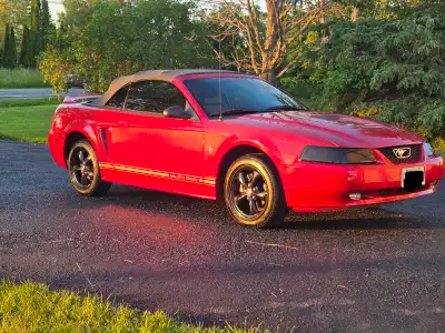 2000 Ford Mustang Convertible – Clean, Low Kilometres Selling my 2000 Ford Mustang Convertible in go...