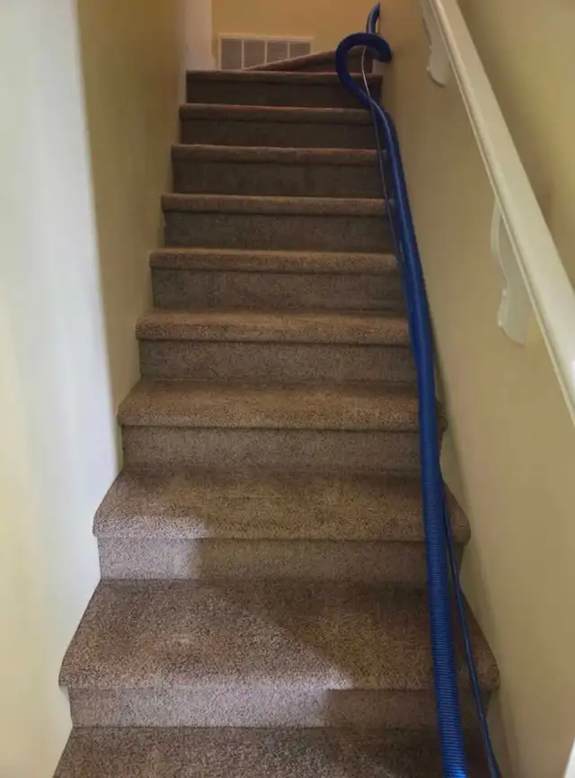 Carpet and Furniture Cleaning in Cleaners & Cleaning in Penticton - Image 7