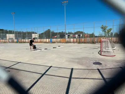 Hockey Skills and Shooting, View more