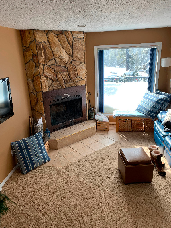 Mountain Oasis - fully furnished, quiet and cool 2 bedroom in Long Term Rentals in Penticton - Image 2
