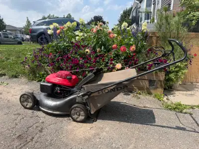 Honda HR216 push mower, View more