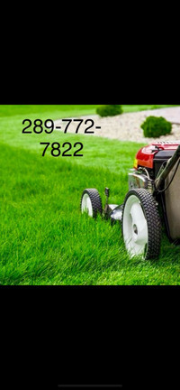 Grass cut and weed control 289-772-7822