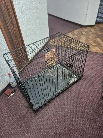 Dog crate 36 x 22 x 25, View more