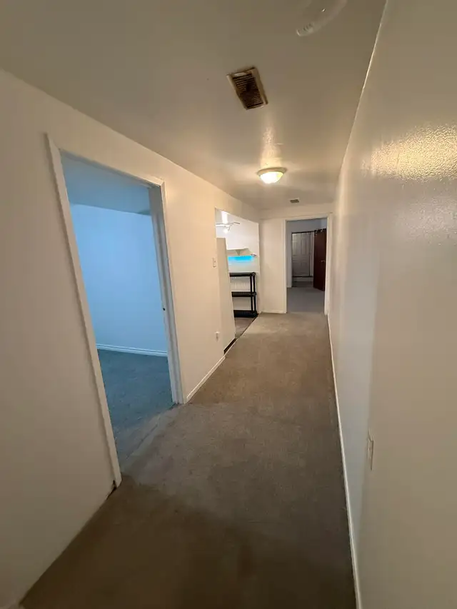 Basement Apartment for Rent 1 Bedroom 1 Bathroom in Long Term Rentals in Mississauga / Peel Region - Image 6