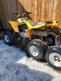 2012 Canam 250 DS 