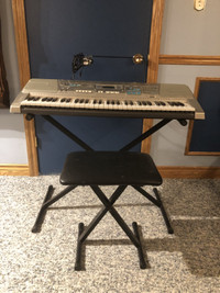 Casio Electric Keyboard LK-300