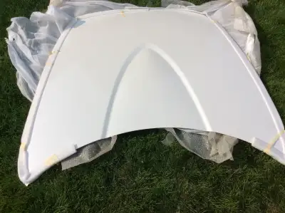 Pristine pearl white hood