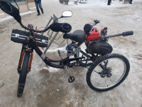 Custom 3 wheeled 196 cc bike