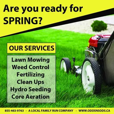 Lawn Care & Grass Cutting , View more