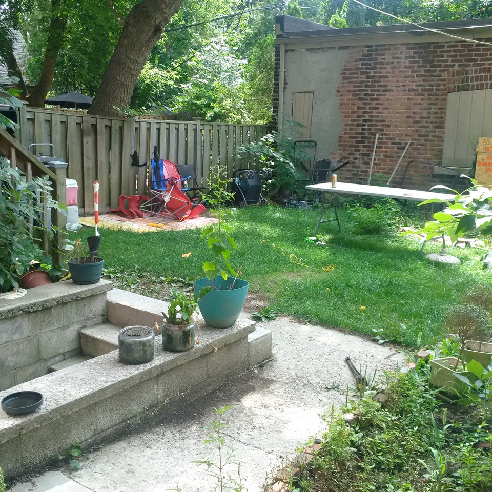 Avenue/Bloor 1 bedroom lower level with shared yard 2
