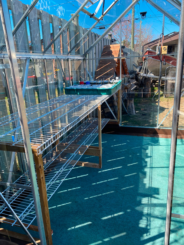 Glass greenhouse in Patio & Garden Furniture in Thunder Bay - Image 4